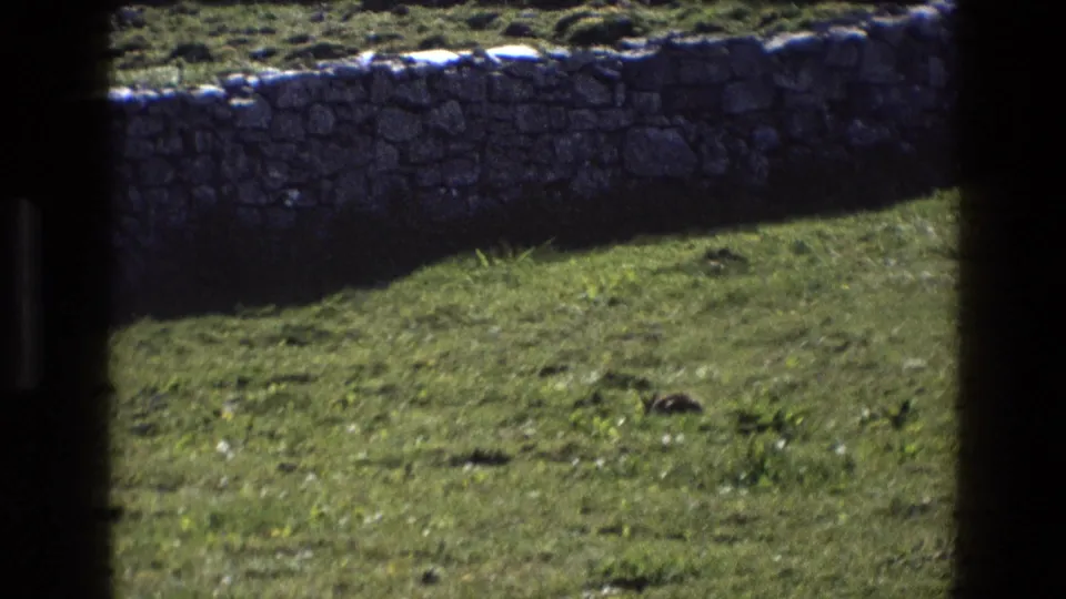 1969 England 8mm frame of a quiet grassy field with a low stone wall and visible dark scan edges.