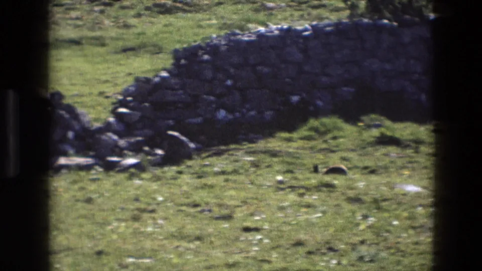 1969 England 8mm frame with sunlit grass, scattered stones, and a curved low stone wall viewed through dark framing.