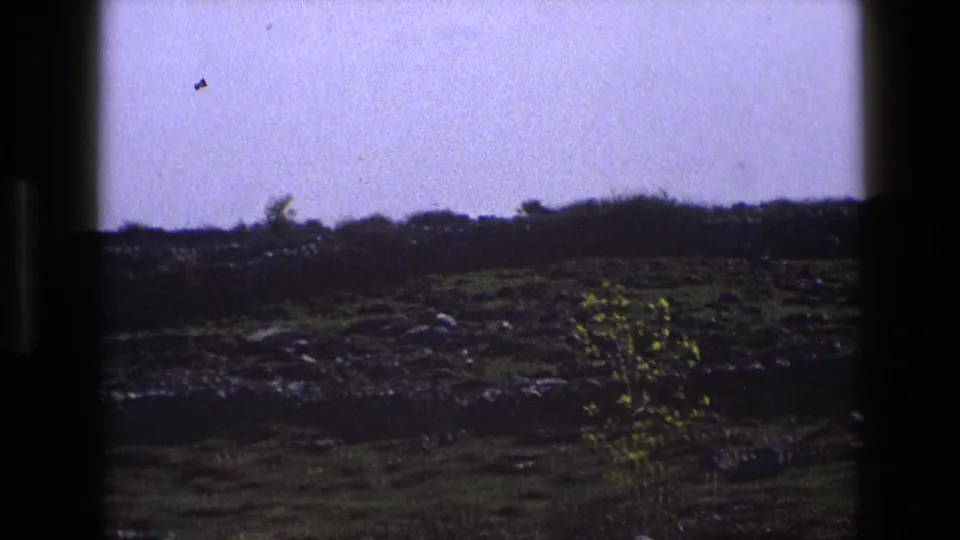 1969 England rural view with fields, low wall lines, roadside vegetation, and a pale sky seen through dark frame edges.
