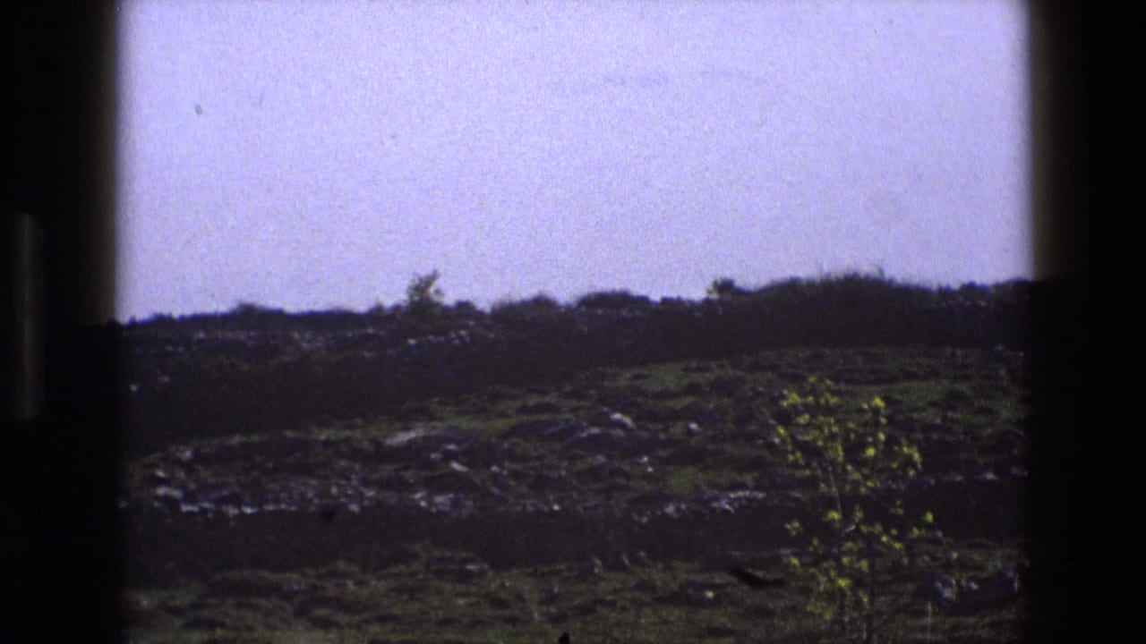 1969 England 8mm frame showing a green field with scattered stones, a small leafy tree, distant hedgerow, and overcast sky.