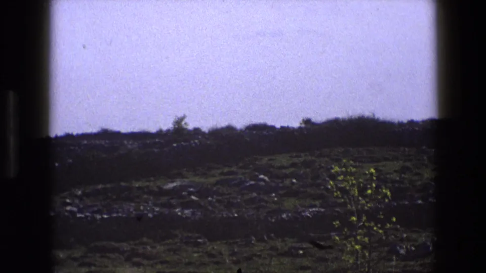 1969 England 8mm frame showing a green field with scattered stones, a small leafy tree, distant hedgerow, and overcast sky.