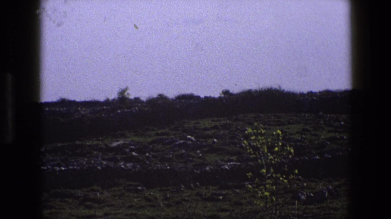 Rural field and small tree framed by dark film edges, with a hedge line beneath a pale sky.