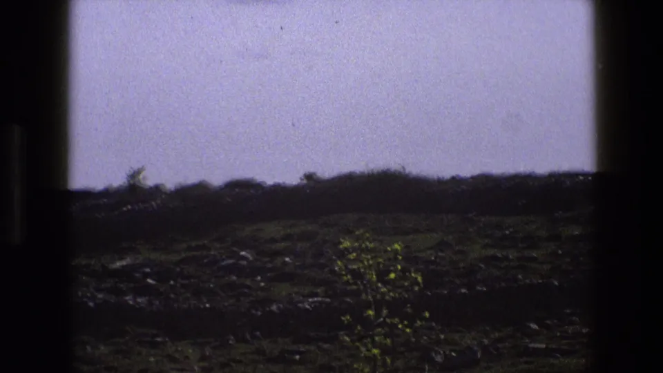 1969 England 8mm landscape frame showing a low rural field, scattered stones, small spring-like tree, and dark hedge horizon.