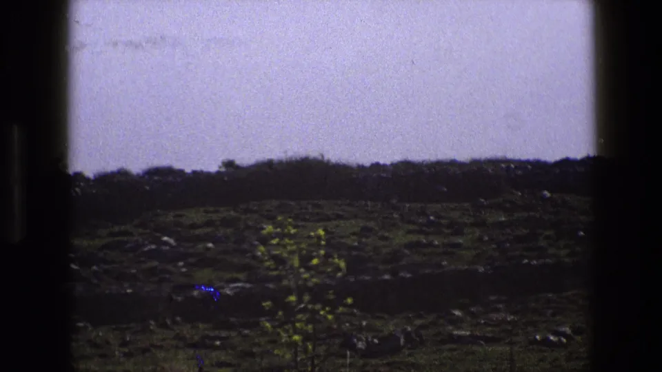 1969 England rural 8mm still with a small tree in the field, scattered rocks, dark boundary line, and muted overcast sky.