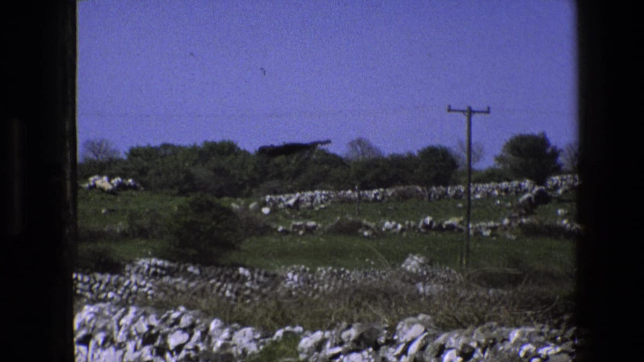 Green rural hillside with dry-stone walls, trees, a telephone pole, and blue sky.
