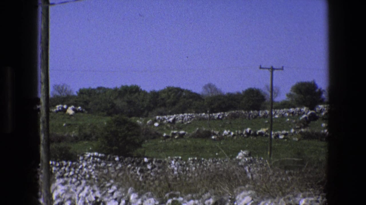 1969 England countryside view showing stone-walled green fields, a telephone pole and wire, low trees, and open blue sky.
