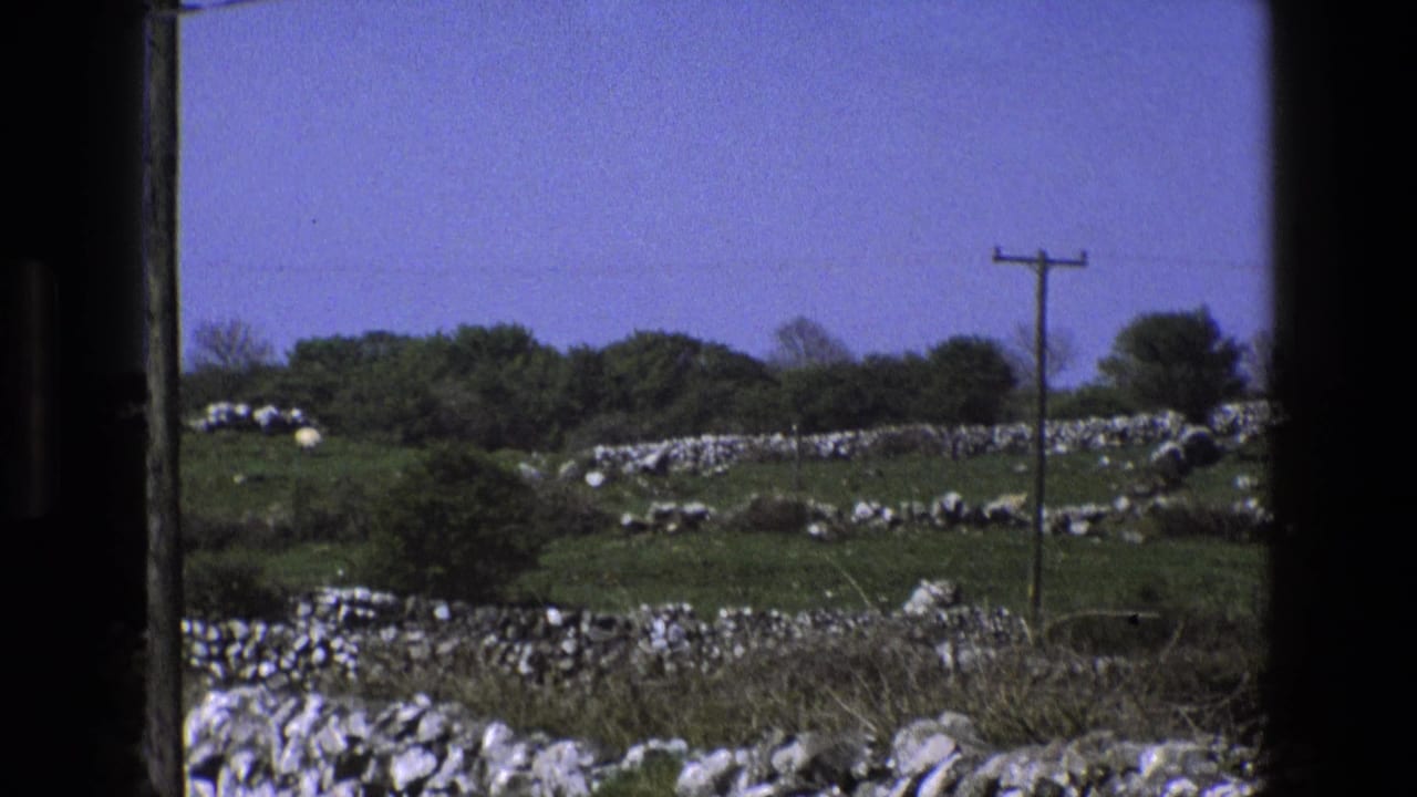 Open field with dry-stone walls, bushes, a utility pole, and sky.