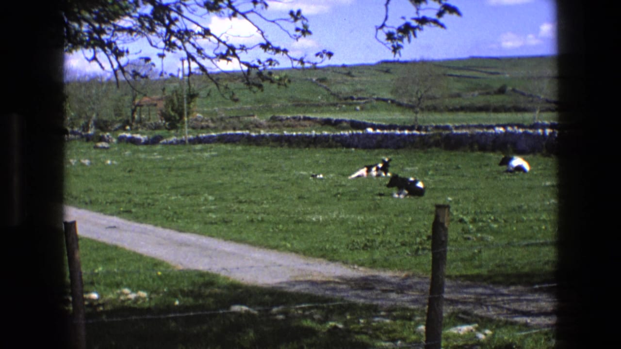 1969 England 8mm frame of cows lying in pasture, seen through dark window framing with stone walls and rolling hills beyond.