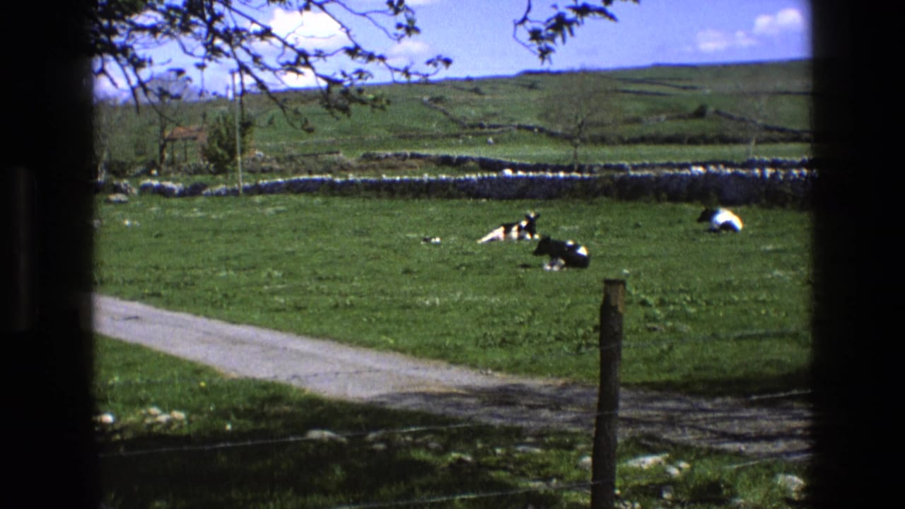Cows lie in grass near a curving track, with stone walls and hills in the background.