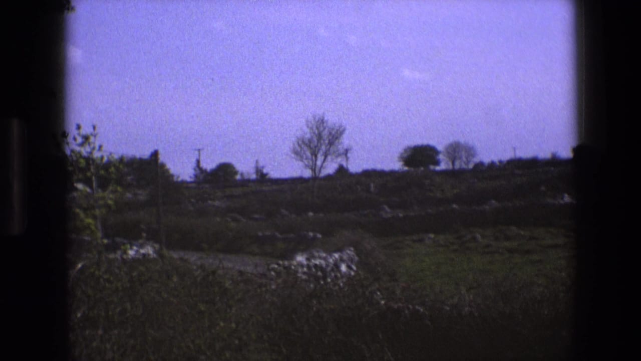 Open countryside with a path, stone walls, trees, and a dark window edge in the foreground.