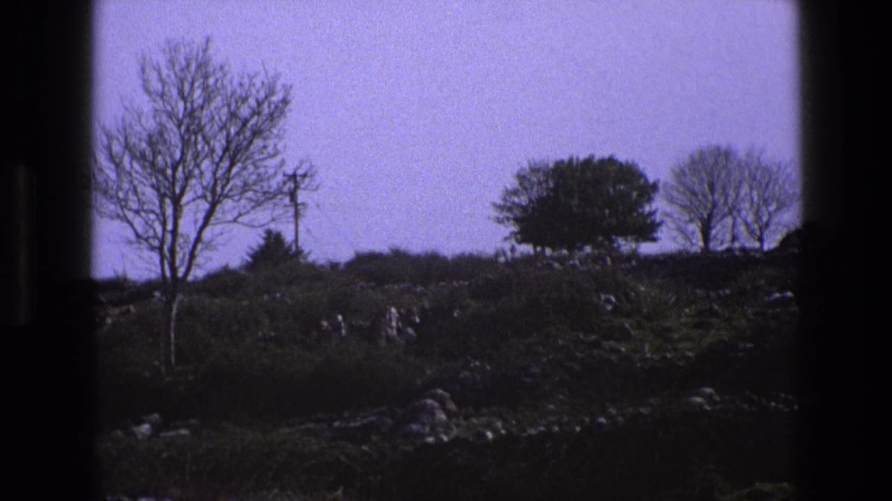 Bare tree and low stone walls on a rural hillside beneath a pale lilac sky.