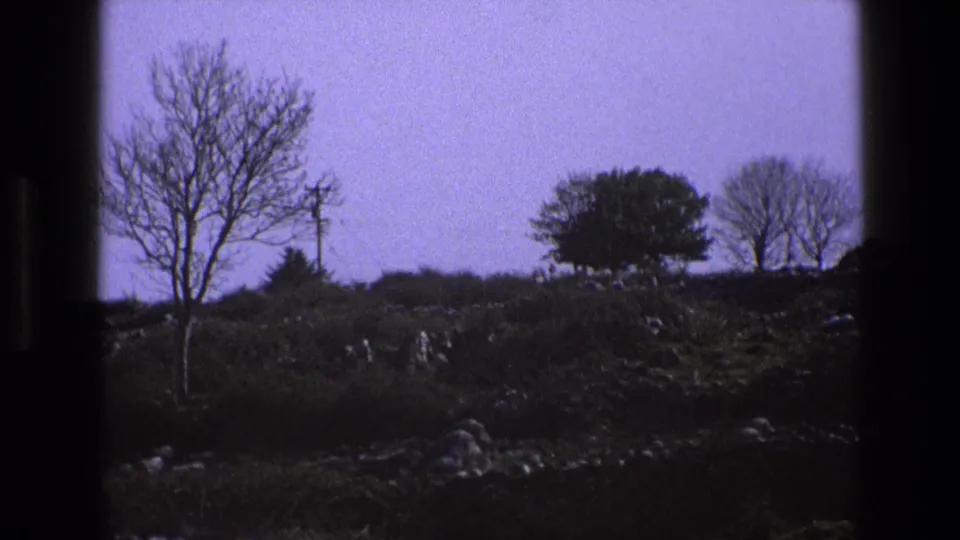 1969 England countryside frame with a bare tree, rough pasture, stone wall lines, and a utility pole against a lilac sky.