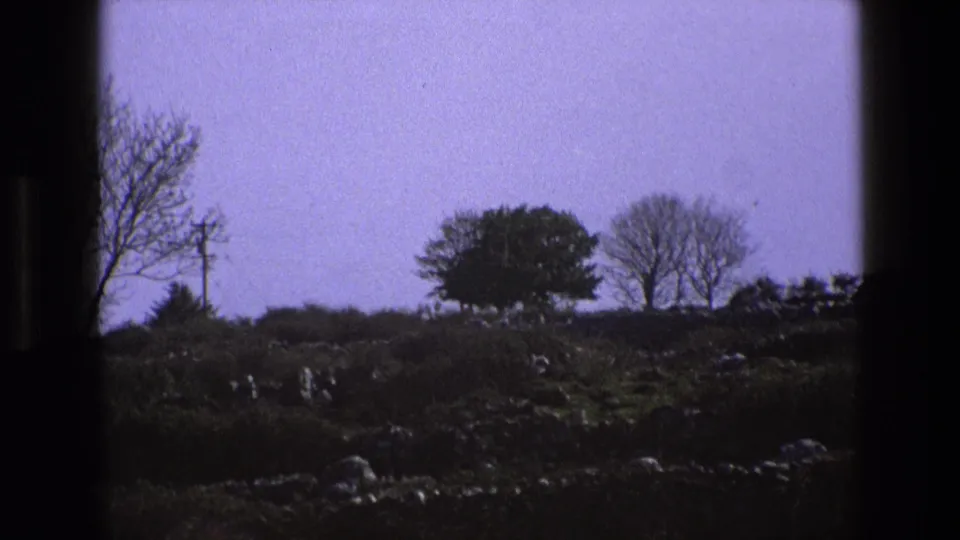 1969 England 8mm frame showing rough hillside ground, bare trees, stone walls, scattered rocks, and a muted lilac-blue sky.