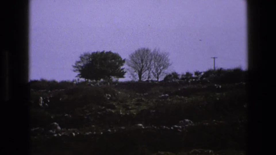 1969 England rural landscape frame with two trees, rocky pasture, low stone walls, scrub, and a utility pole under a pale lilac sky.