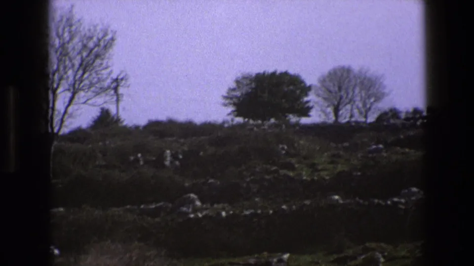 1969 England 8mm frame showing a rural field with rocks, bare trees, hedgerow, and utility pole in soft film grain.