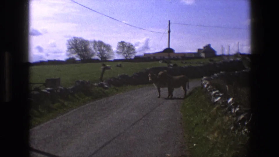 1969 England 8mm frame showing horses on a rural lane, stone walls, green fields, distant farm buildings, and a utility line.