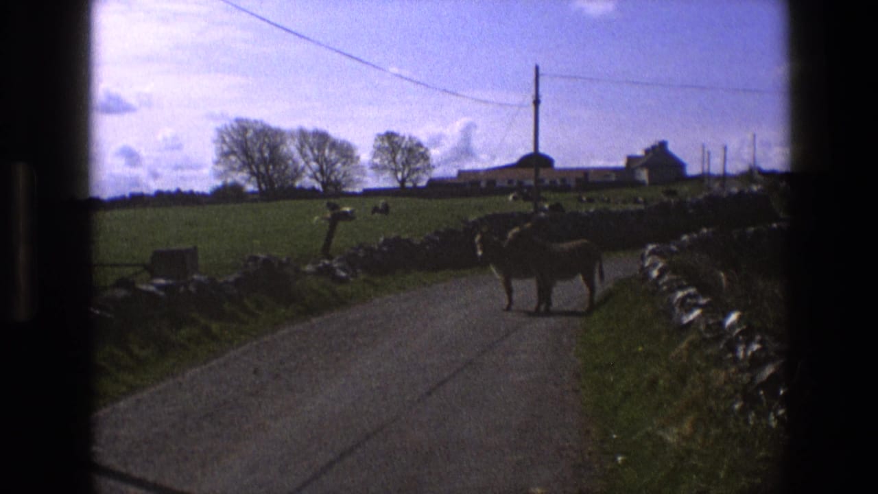 1969 England 8mm frame showing two donkeys on a country lane, with stone walls, fields, farm buildings, and trees beyond.