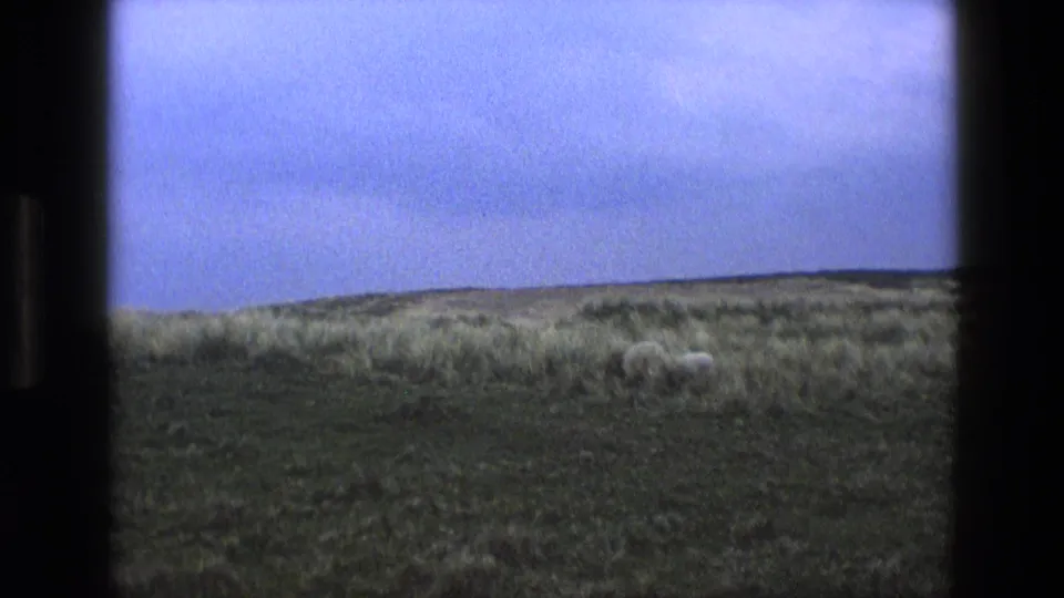 A wide 1969 England countryside view shows an open grassy hillside under a blue sky, with sheep grazing in the distance.
