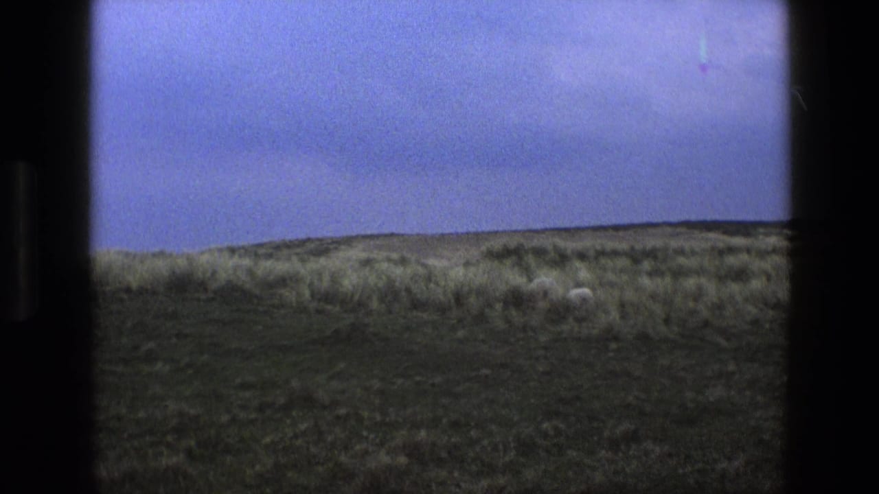 Grassy hillside under a blue-gray sky, framed by dark window or vehicle edges.