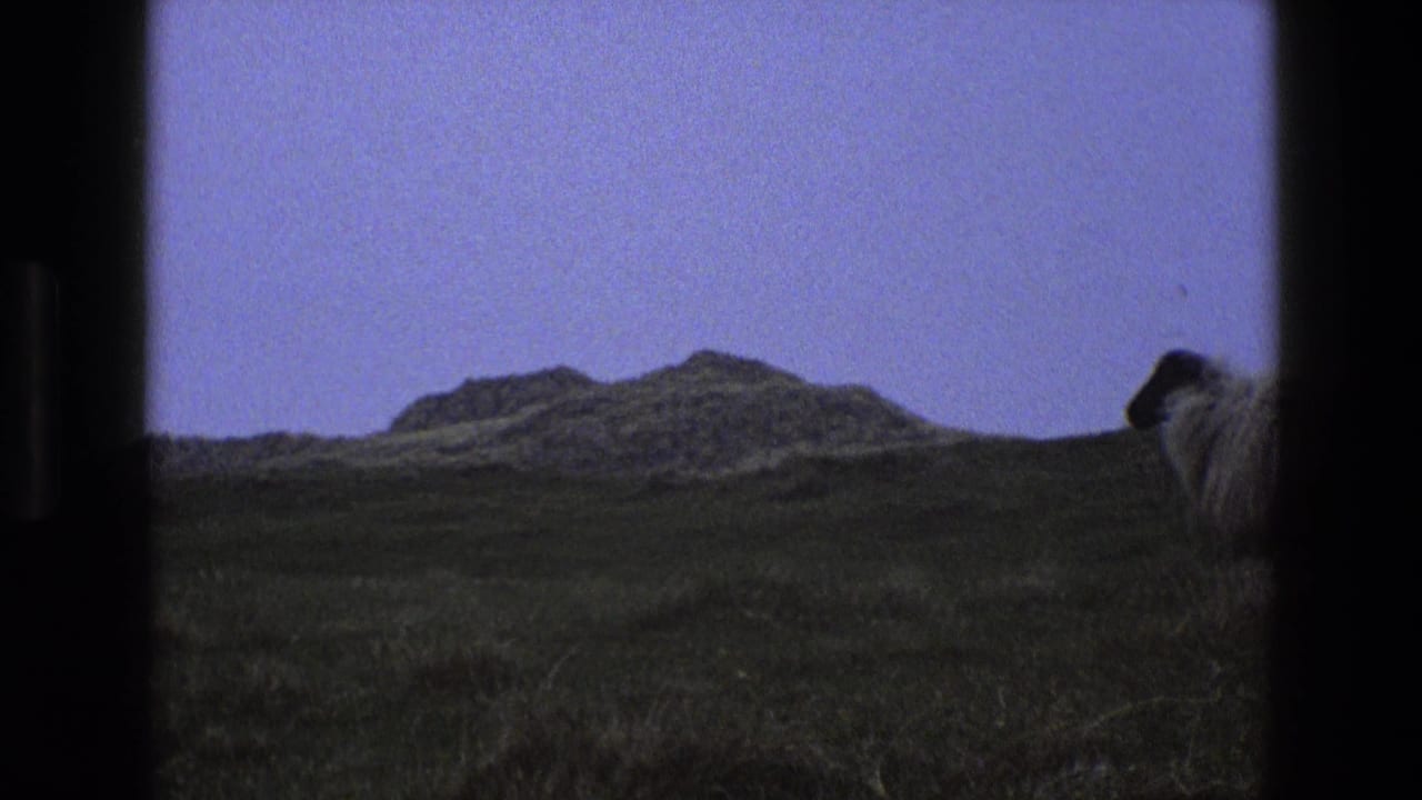 Low rocky hill and pasture with part of a woolly sheep at the right edge.