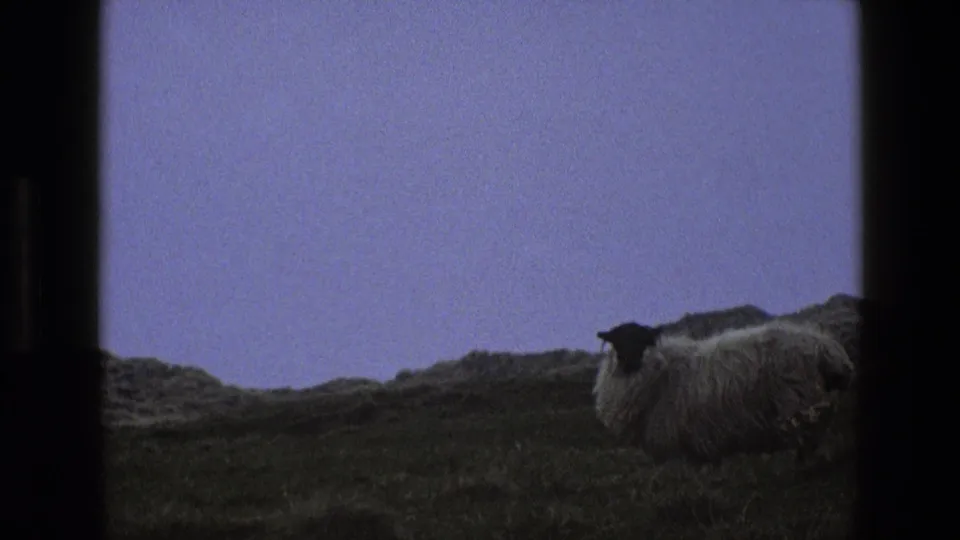 1969 England 8mm frame showing a sheep at the right side of a windswept grassy hillside.