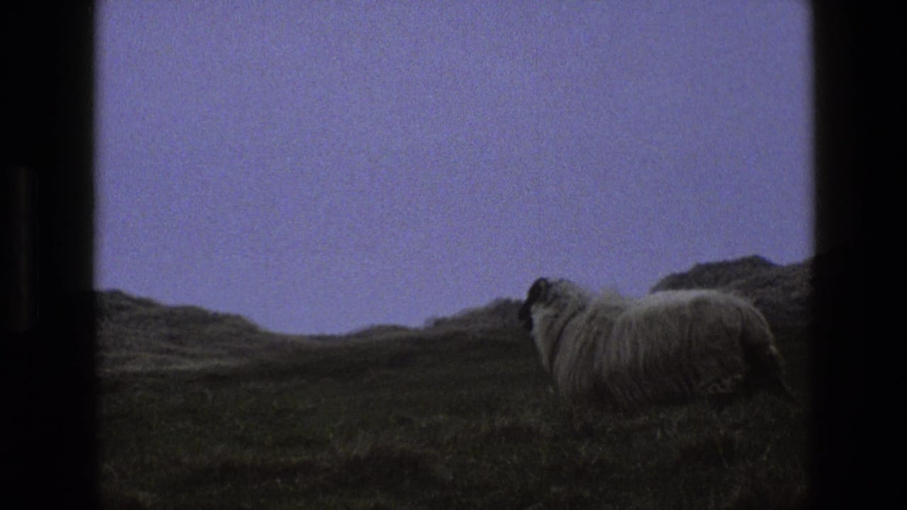 Sheep at right on a grassy slope with low hills and a dim purple sky.