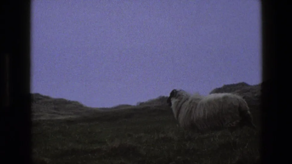 The sheep is seen farther right on the hillside, with muted upland terrain and dusk-toned 8mm color.