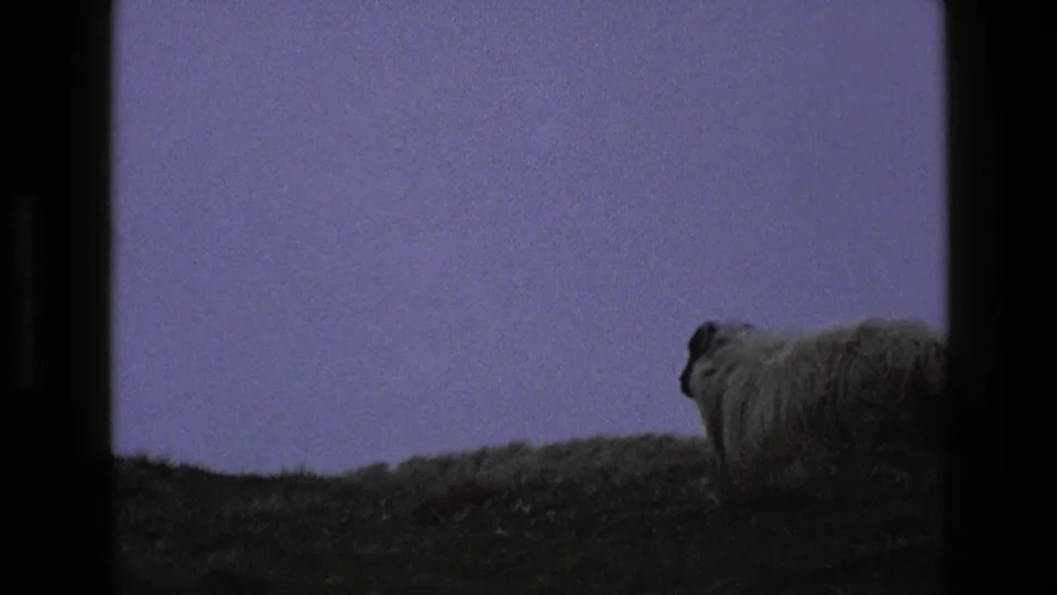 The sheep remains near the right side of the hillside view, with muted color, soft focus, and dark 8mm frame edges visible.
