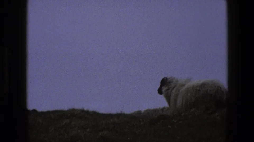 1969 England 8mm frame showing a solitary dark-faced sheep on a low grassy hillside under a muted purple evening sky.