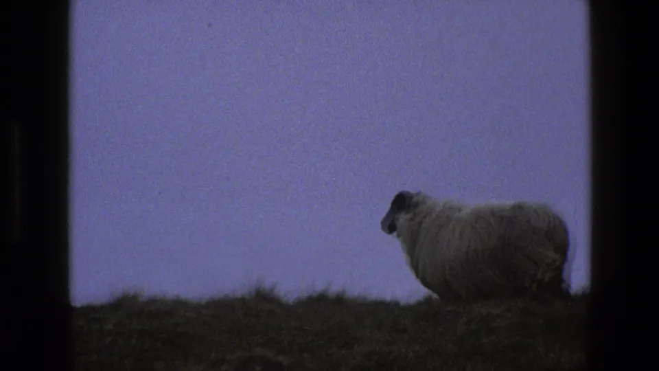 1969 England 8mm frame with the sheep near the right edge of the hillside, silhouetted softly against a purple evening sky.
