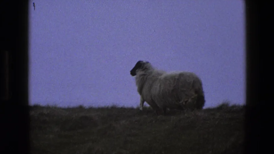 A sheep stands near the crest of a rural English hillside, framed by dark film or window-like borders in 1969 8mm footage.