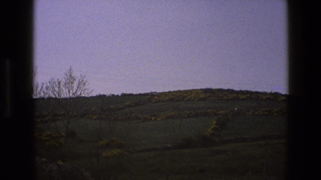 Rolling hillside with green fields, yellow bushes, bare trees, stone wall, and pale sky.