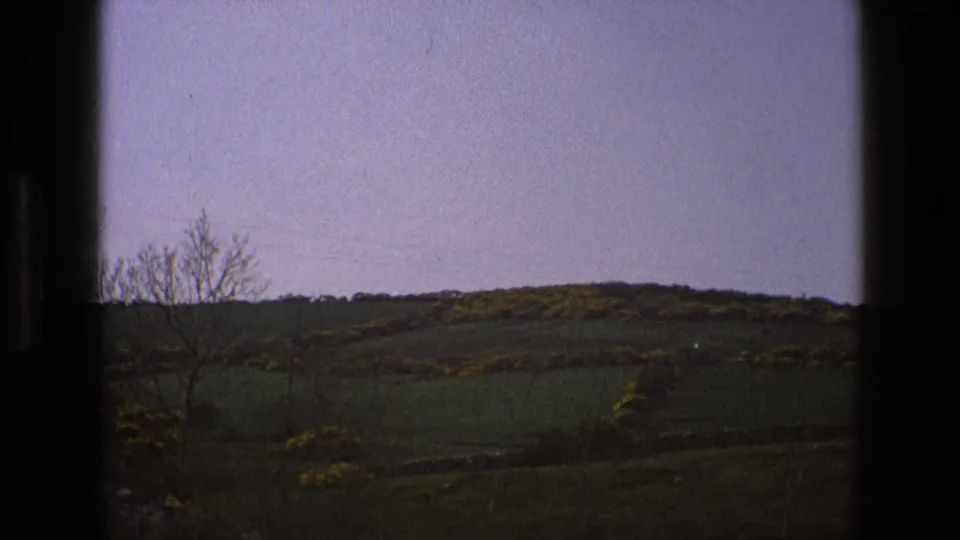 1969 England countryside view with rolling green ground, yellow gorse-like bushes, a bare tree, and visible 8mm frame edges.
