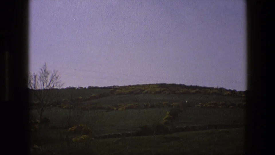 A grainy 1969 England 8mm view of rural hillside, scrubby yellow bushes, bare roadside trees, and a low stone wall.