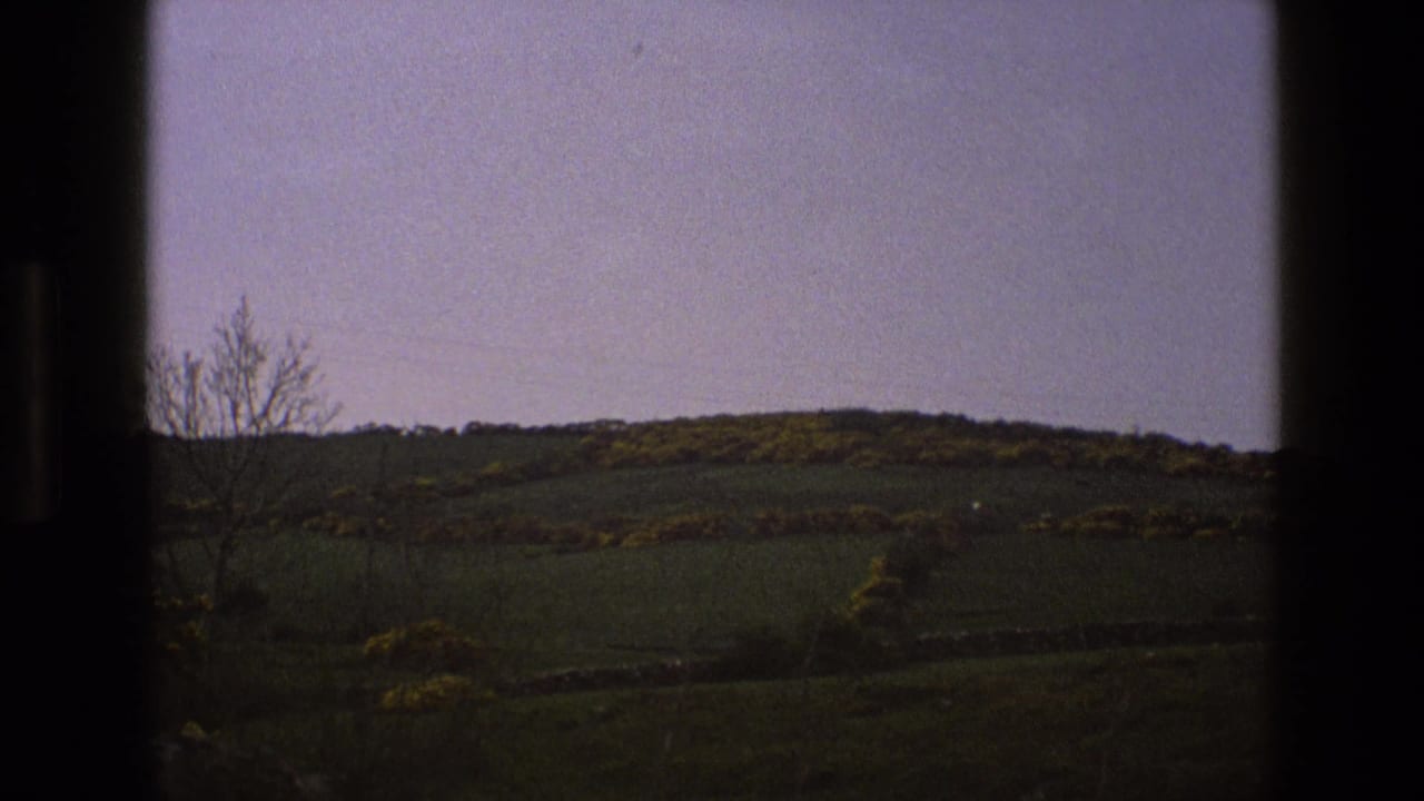 Rolling green fields and a bare tree seen through a dark window frame.