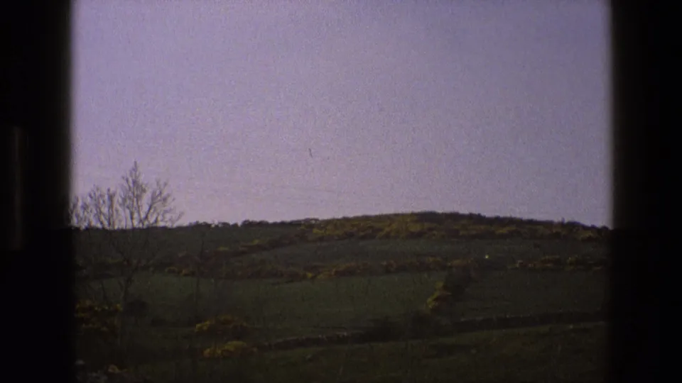 1969 English rural view with a dark window mullion, green hillside, hedgerow lines, yellow shrubs, and a bare tree under a pale sky.