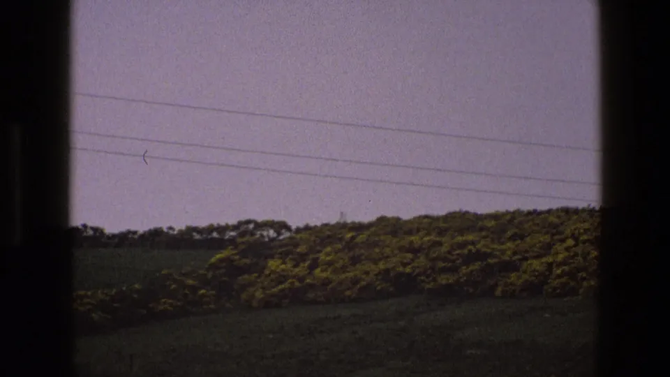 1969 English countryside frame showing divided green fields, yellow-flowering bushes, tree line, and faint overhead power lines.