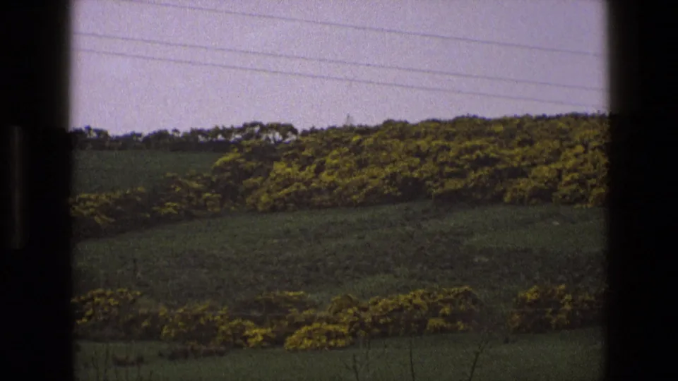 1969 English rural landscape with green fields, yellow-flowering shrubs, overhead power lines, and a dark window frame at the left.