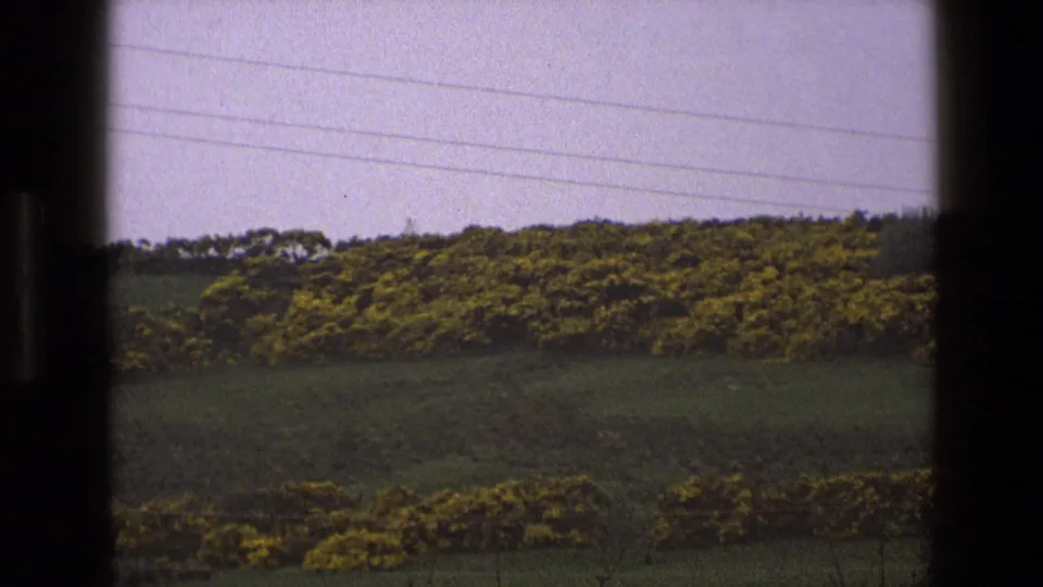 1969 England countryside view with dark green fields, yellow-flowering shrubs, distant trees, pale sky, and visible power lines.