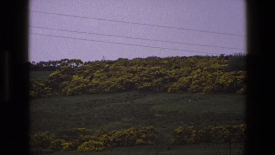 8mm frame from 1969 England showing a rural hillside, yellow-flowering bushes, tree line, pale sky, and overhead wires.