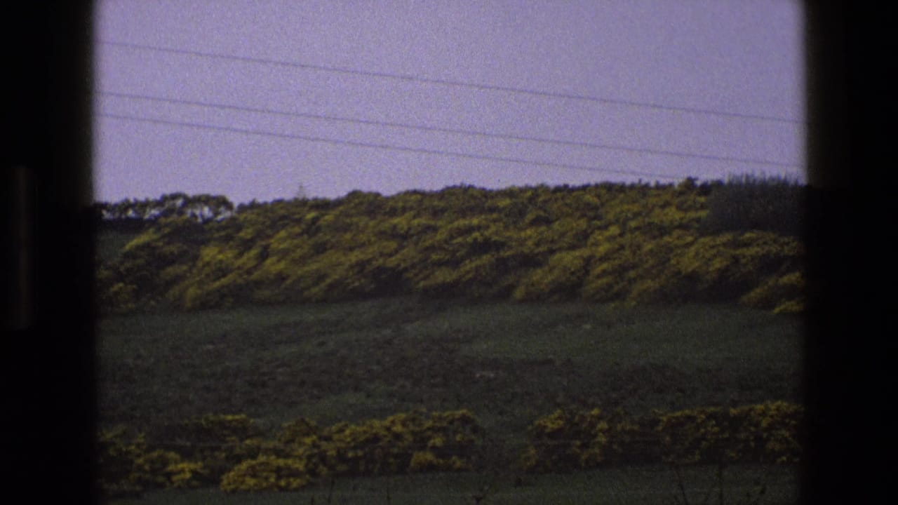 Window-framed view of green hillside, yellow gorse, stone wall, power lines, and cloudy sky.
