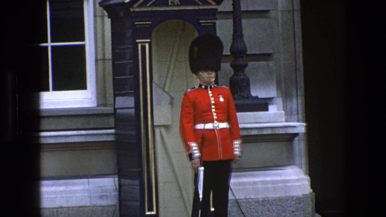 The guard remains rigid beside a dark sentry box, with a window and stone architectural details visible behind him.
