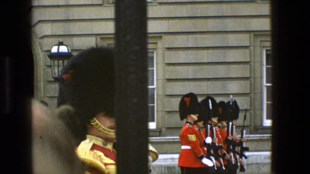 British guards in red tunics and bearskin hats seen through dark vertical gate bars.