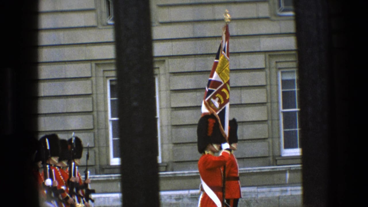 A guard carries a Union Jack standard while other guards stand behind foreground bars.