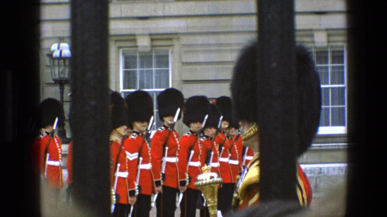 Ceremonial British guards in red coats and bearskin hats stand at attention in England, with rifles visible through foreground bars.