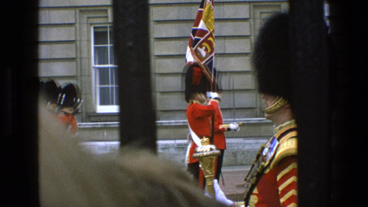 Flag-bearing guard and other red-coated guards seen through railings outside a stone facade.