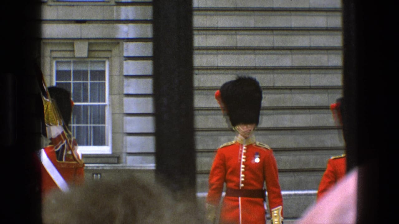 Queen's Guard in red tunic and bearskin hat seen through dark vertical bars.