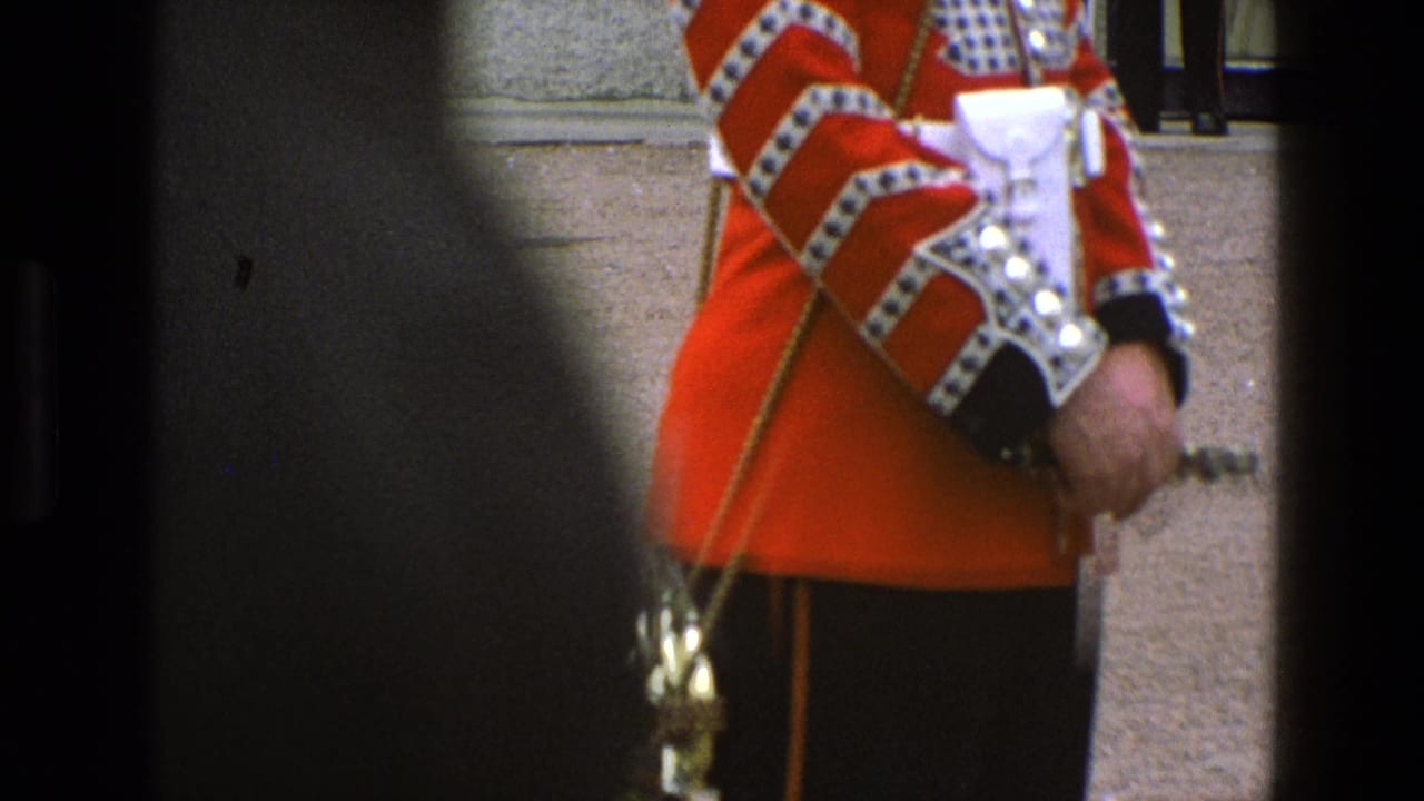Red-uniformed guard partly framed by dark foreground shapes, with staff and ornate cuff visible.