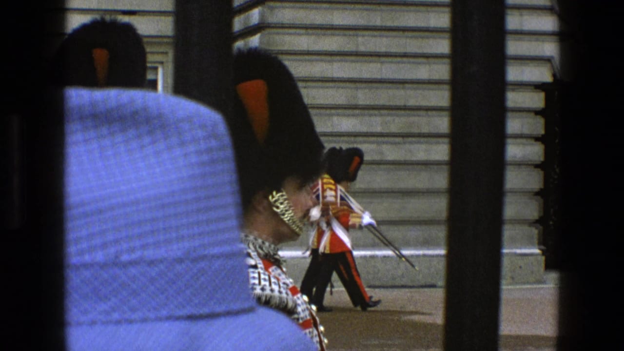 Grenadier Guards in bearskin hats and red uniforms seen through a barrier near Buckingham Palace.