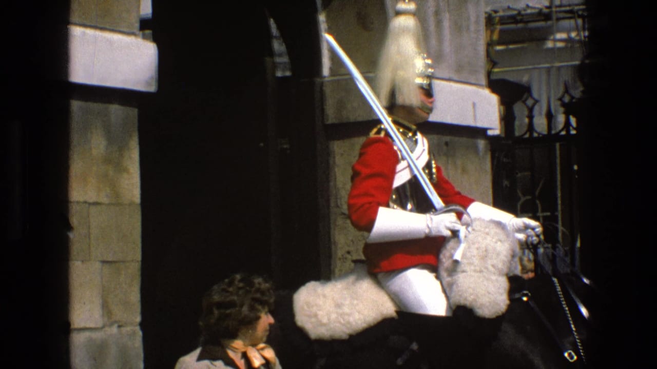 Mounted ceremonial guard in red uniform on a black horse with a spectator partly visible.